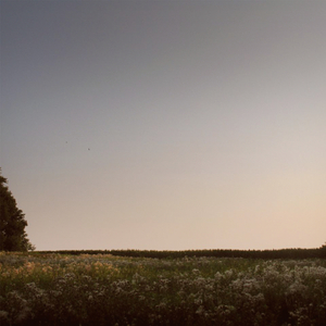 乱人伦中文无码视频在线
